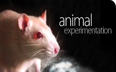 雅思写作高分范文解析-是否应该用动物试验药品和其它产品？