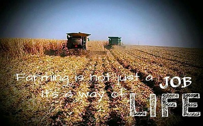 PTE听力练习题63-老托93篇-U.S. farmers’ life