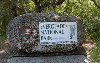PTE听力练习题4-老托93-Everglades National Park