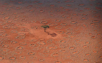 PTE听力口语练习-科学60秒- Namib Desert “Fairy Circles”