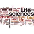 PTE听力口语练习-科学60秒-Biological Disciplines