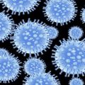PTE听力口语练习-科学60秒: Communter Data Improves Predictions of Flu