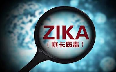 PTE听力口语-科学60秒: the link between Zika virus and defects