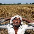 文波pte真题视频系列-sst03-印度农民负担不起种子