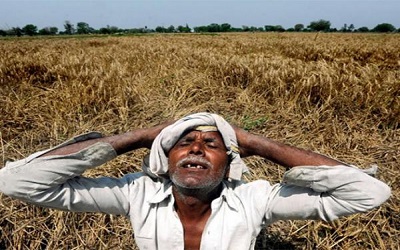 文波PTE真题视频系列-SST-009-印度农民负担不起种子