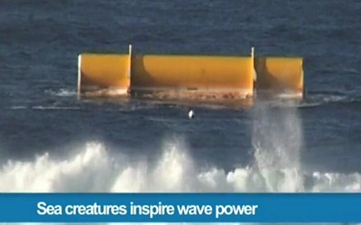 文波PTE真题视频系列-SST-008-Sea creature and wave power