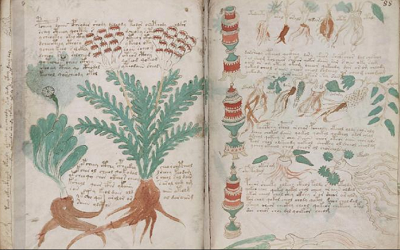 墨尔本文波PTE真题音频系列-伏尼契手稿（Voynich manuscript）